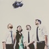 The Octopus project