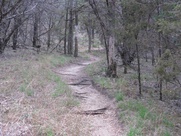 Austin_photo: places_outdoors_pacebend_trail