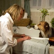 News_Darling Companion_Diane Keaton