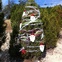 austin photo: kvue loop 360 trees