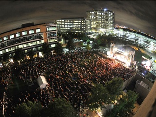 Wildflower Festival
