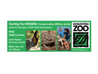 Saving Our Wildlife: Conservation Efforts at the Houston Zoo
