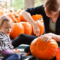 UMLAUF Sculpture Garden & Museum presents Last Straw Fest