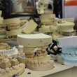 Texas Art Asylum, December 2012, teeth molds, dental molds