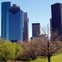 News_Houston_skyline
