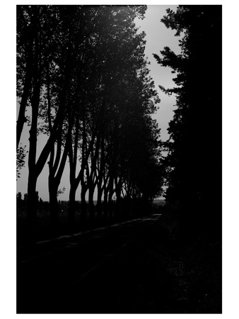 News_Nancy_Camille Claduel_Libbie Masterson_Nuit_Eygalieres_May 2012