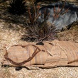 green burial, natural burial, body, park, December 2012