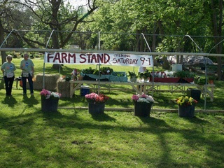 Springdale Farm in Austin, TX.