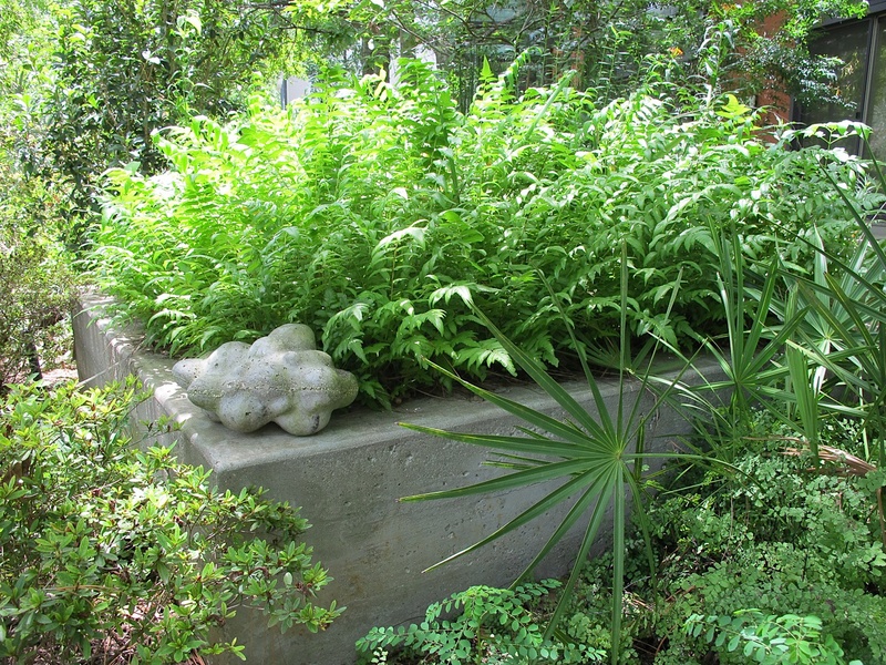 News_Katie_Patsy Cravens_A green combustion
