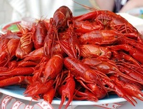 Teresa Gubbins: Fish N' Tails Oyster Bar brings the Cajun to downtown Richardson