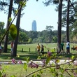 News_Memorial Park_Memorial Drive_park