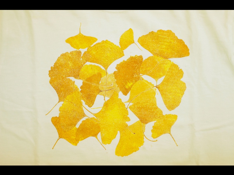 WHAM, photo essay, November 2012, David Webb