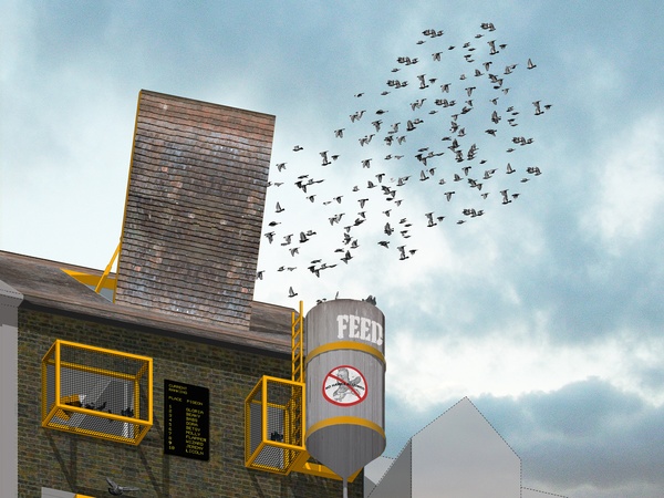 News_Animal architecture_January 2012_honorable mention_Pigeon Racing Headquarters_Carla Novak