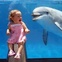 Kid afraid of dolphin