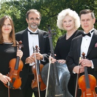 Opus 4 String Quartet