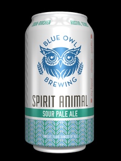 Blue Owl Spirit Animal