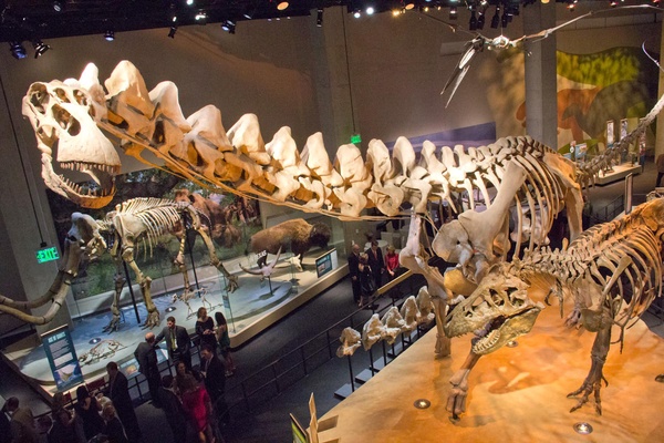 Perot Museum 