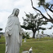 Galveston, haunted tours, Halloween, October 2012, cemetery