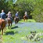 Austin Photo Set: News_shelley_hill country_april 2012_horse back riding