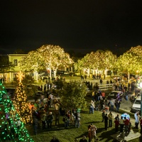 Georgetown's Annual Lighting of the Square