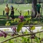 News_Memorial Park_park_jogging