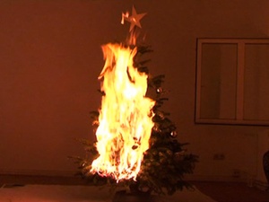 Keren Cytter, Four Seasons, screen shot, DiverseWork, tree on fire