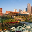 Ruibal's Plants of Texas in Dallas Farmers Market