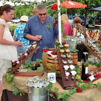 Texas Wine & Art Festival 2016