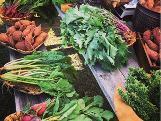 Harvest Green Farmers Market