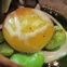 News_Oxheart_poached egg yolk
