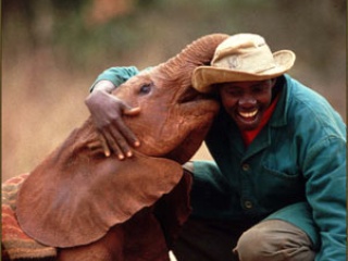 Austin Photo_Events_David Sheldrick Wildlife Trust_Poster