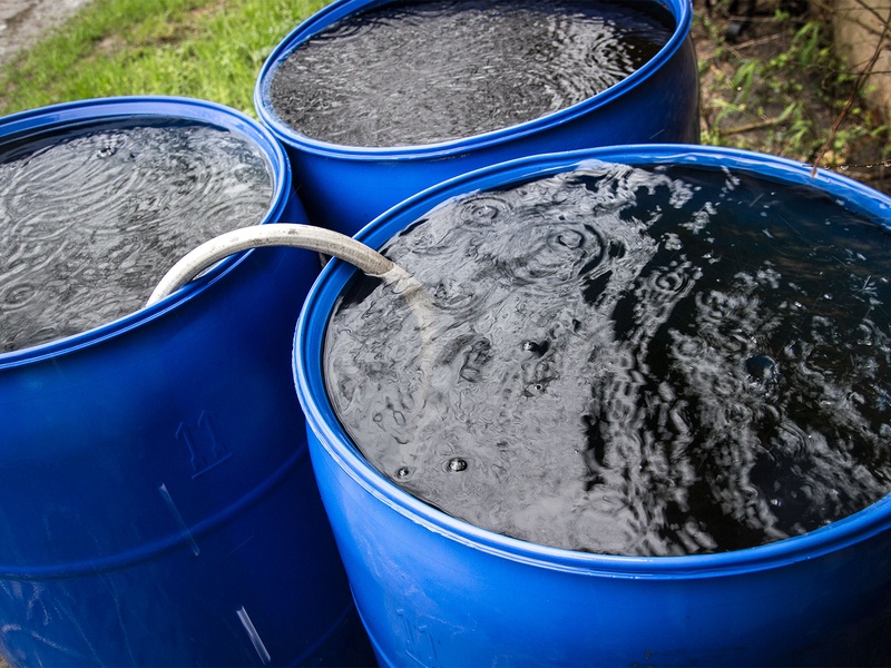 Slideshow Droughtrelieving rain puts Texas farms back on track in
