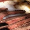 brisket killen's bbb