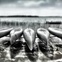 Archival pigmented ink print, "Suspended Canoes, Interlochen, Michigan," by Dan Burkholder