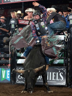 PBR bull rider Cooper Davis