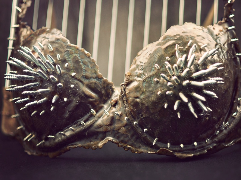 News_Art bras_Brazzare_Screw Cancer_by Robin Kirby