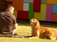 News_Peter Barnes_dog park_April 10