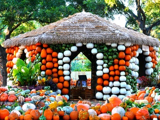 Dallas Arboretum and Botanical Garden presents Autumn at the Arboretum