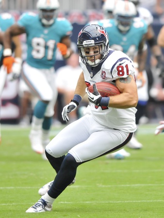 Owen Daniels Dolphins