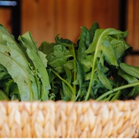 Harvest Green presents National Agriculture Day