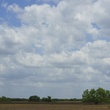 News_King Ranch_Open Sky