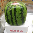 News_Square_Watermelon.jpg