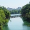 Austin photo: news_kvue_austin forest_feb 2013