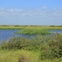 Joel, Galveston Island State Park, September 2012