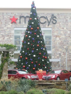 Austin photo: Event_Domain_Christmas Tree