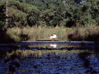 Places-Unique-Arboretum-people outside-1-CVB