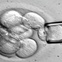 stem cells, pet stem cells