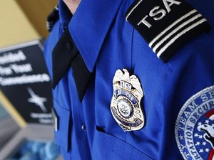 TSA theft, badge, airport officer