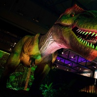 VStar Entertainment presents Discover the Dinosaurs Unleashed
