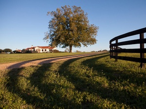 News_The Inn at Dos Brisas_fence